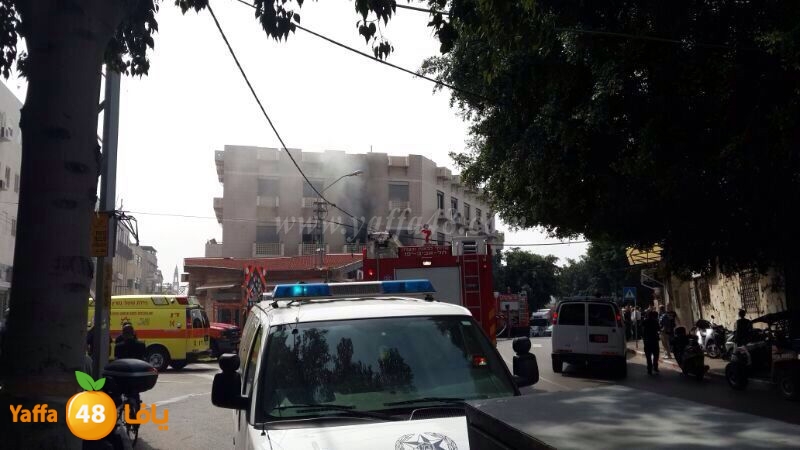 infejar hertsel yaffa 0323 (3).jpg